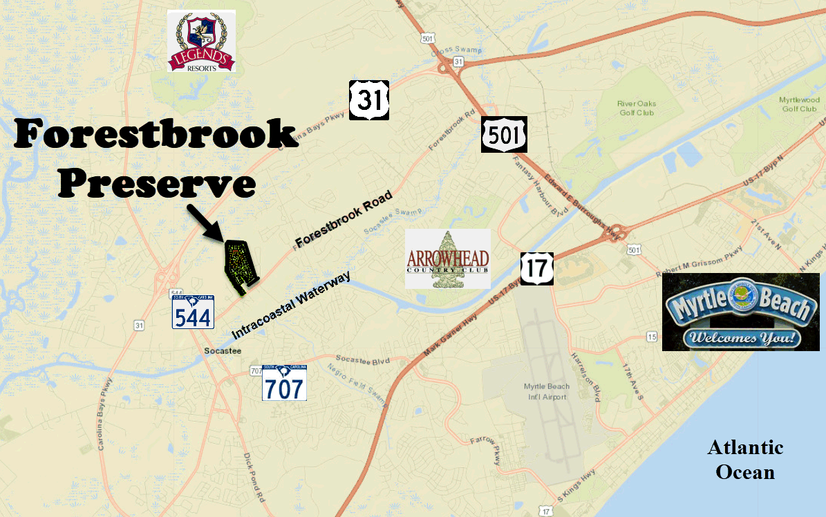 Forestbrook Preserve New Home Community in Myrtle Beach